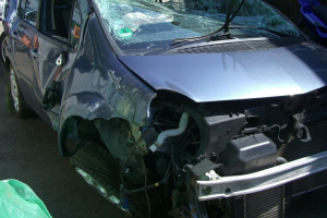 Find Insurance businesses in South Africa