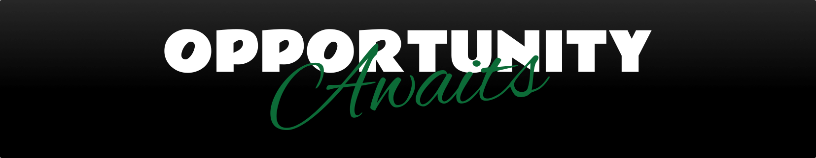 Opportunities await on DoBiz