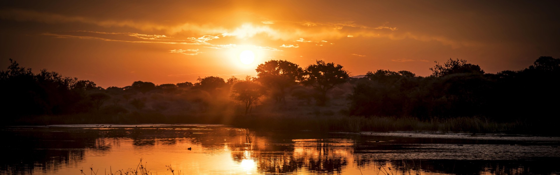 South Africa, DoBiz helps fight unemployment, grow businesses, and generate passive income across all 9 provinces